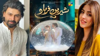 HUM TV Unveils New Drama Serial Shirin Farhad